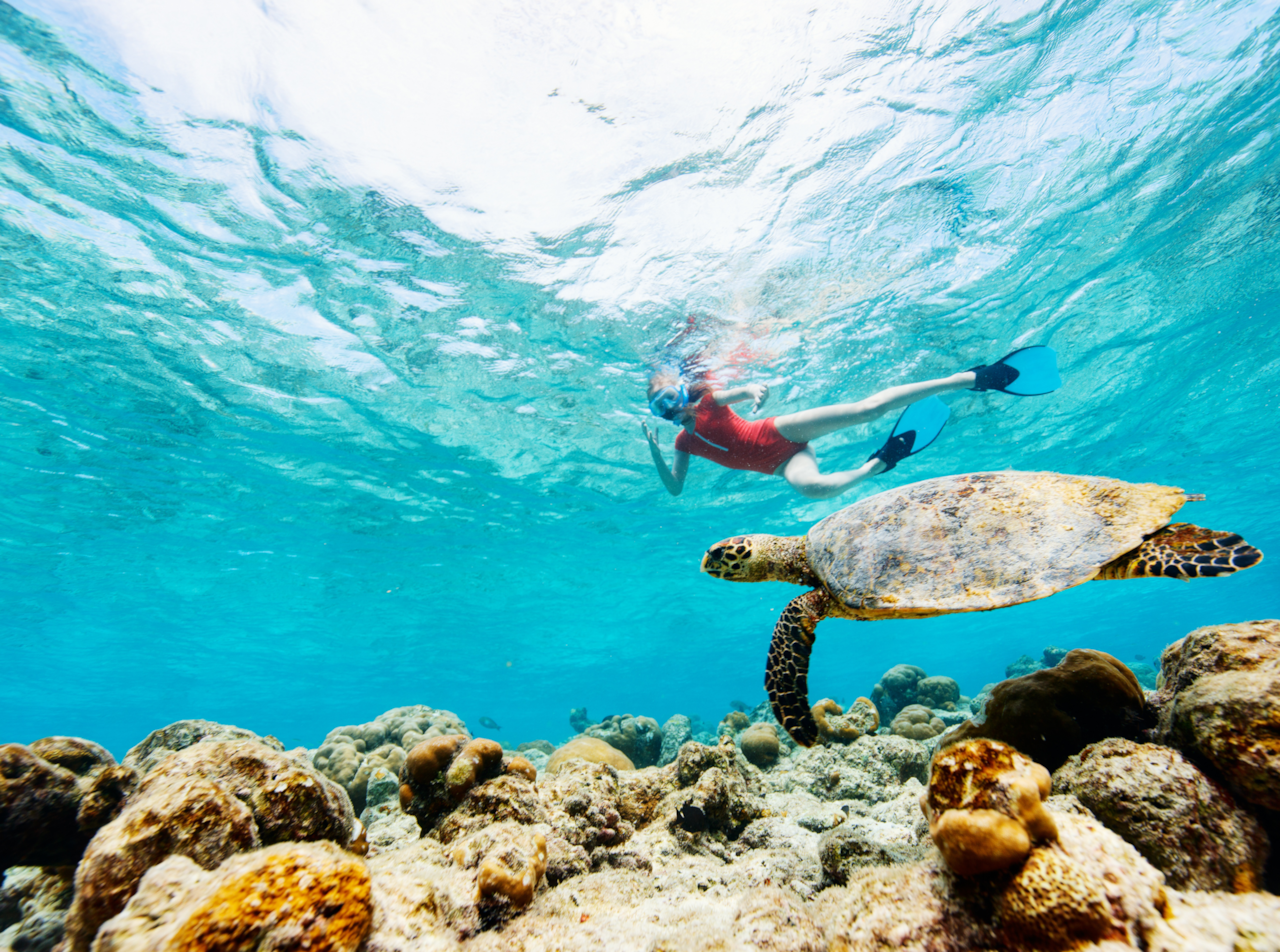Snorkeling