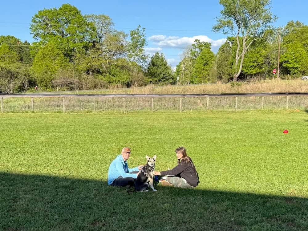 Enjoying the Dog Park