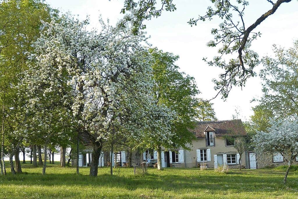 Le parc au printemps