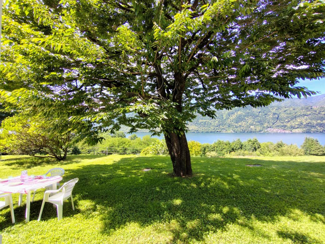 IMG 20260612 114712390 HDR AE