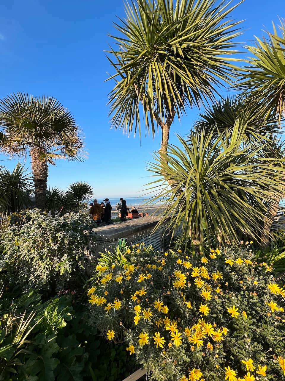 FÉVRIER EN BRETAGNE