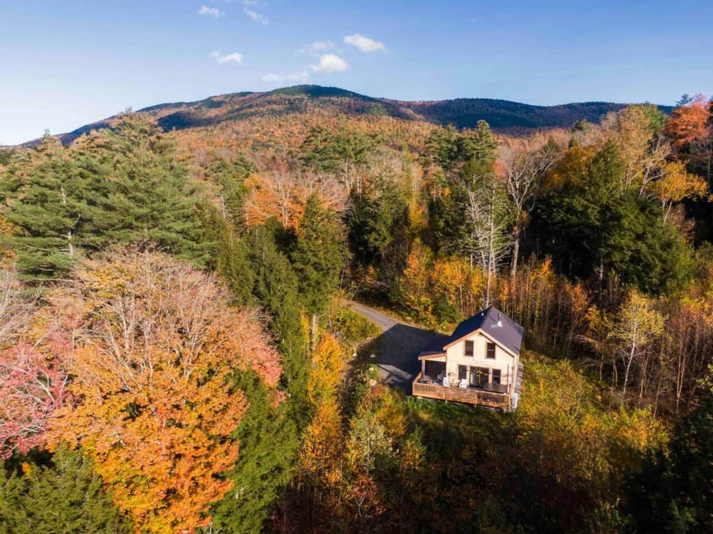 Foliage in full effect Foliage in full effect