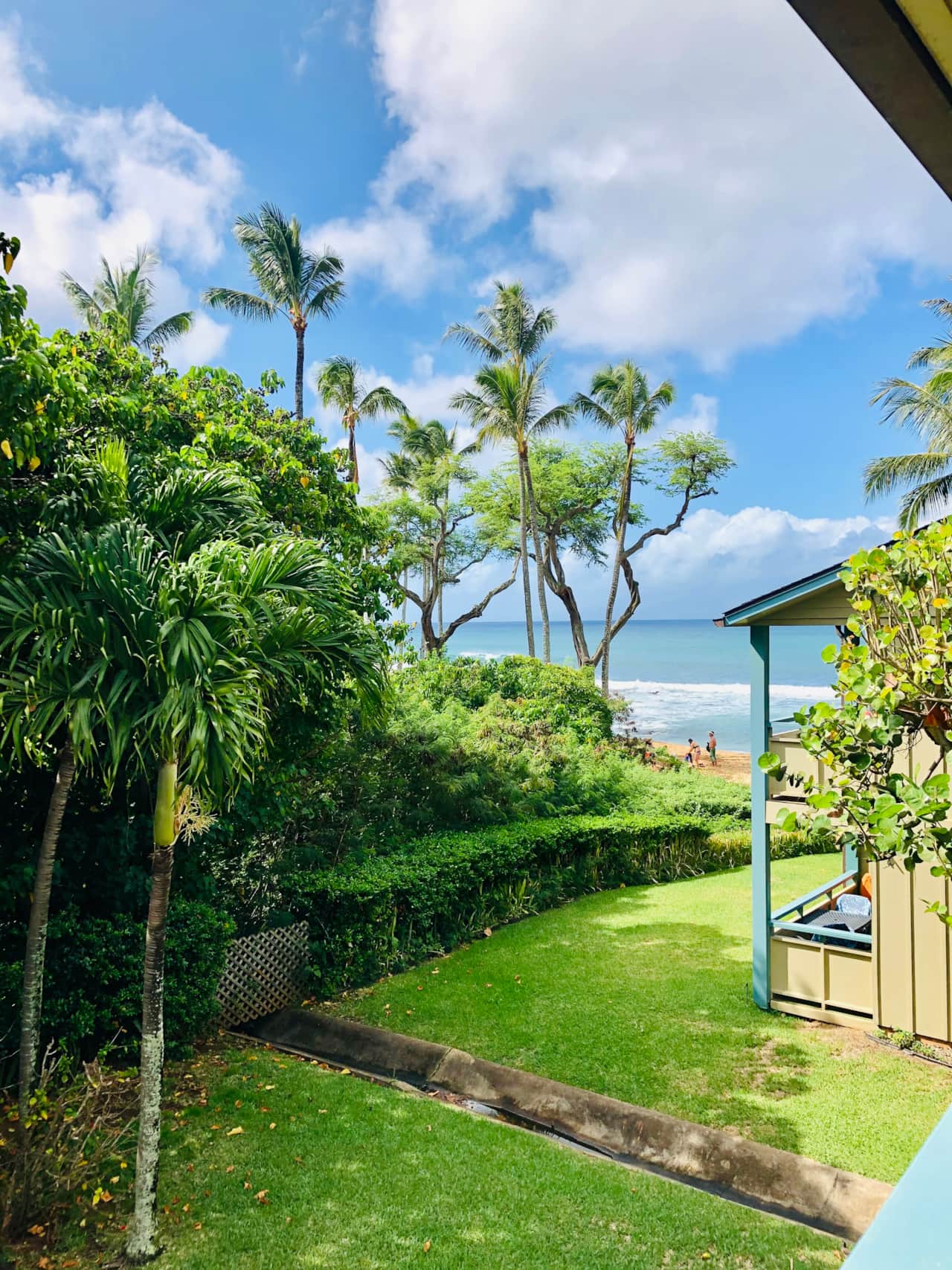 Lanai View