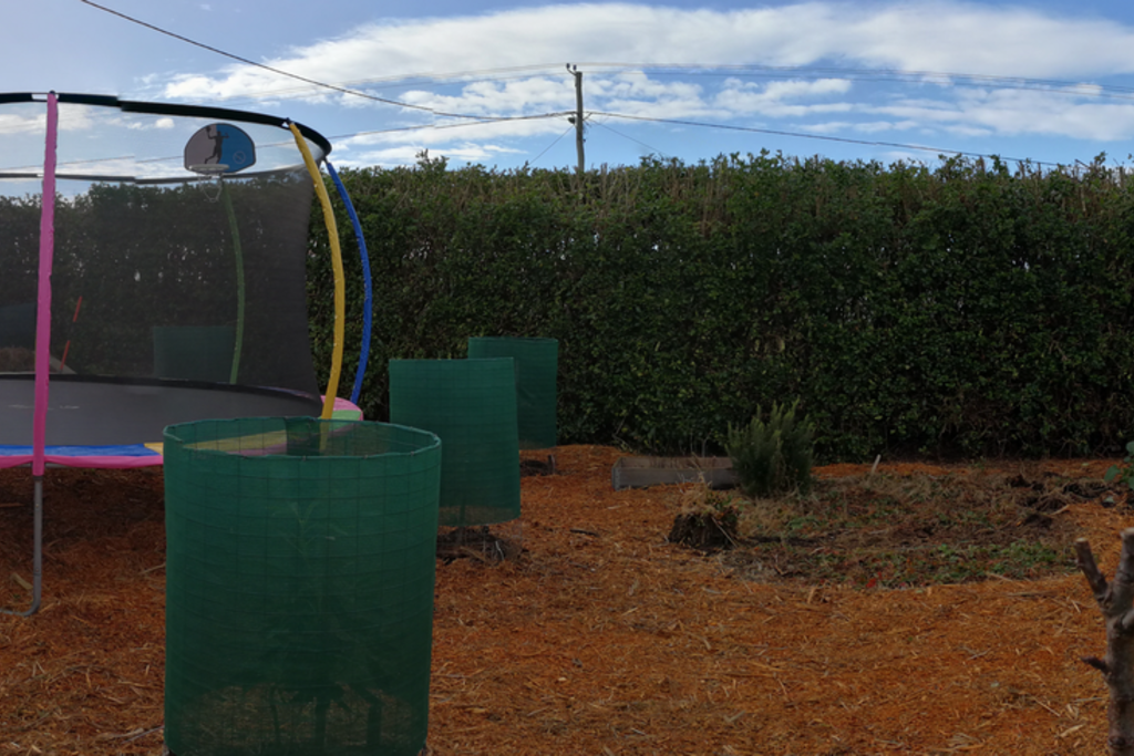 Greenhouse, fruit trees, vege gardens, swing and trampoline.