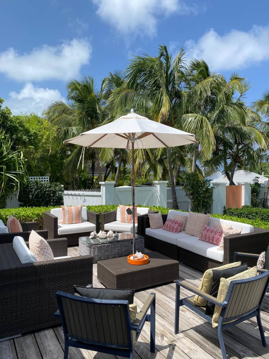 WhatsApp Image 2026-02-19 at 11.05