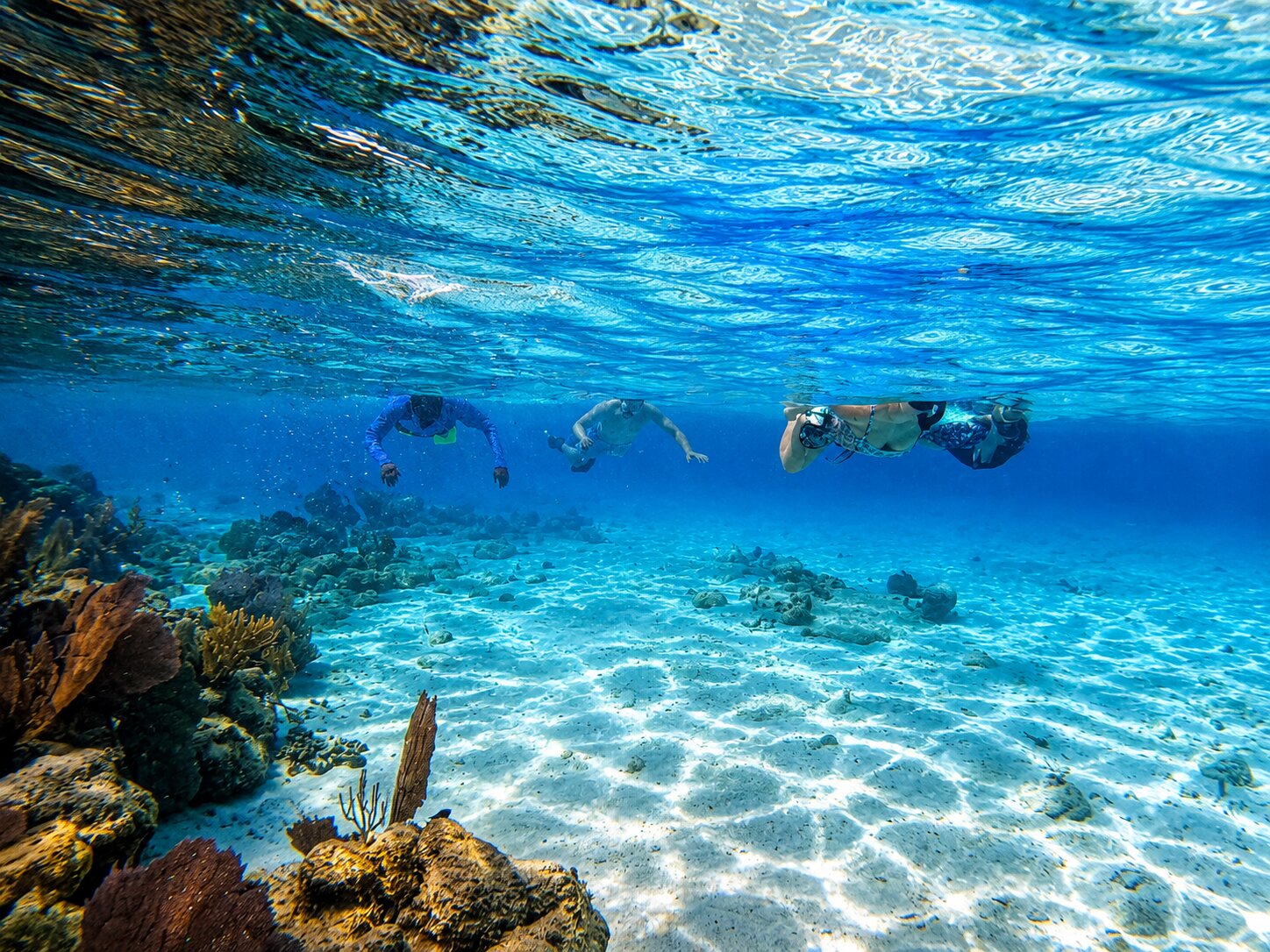 Belize Barrier Reef Snorkeling
