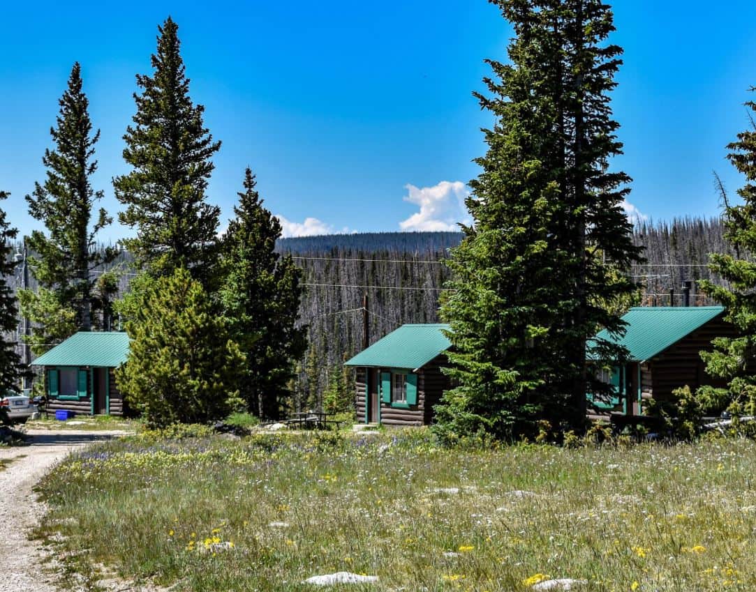 Cabins at the edge of a meadow