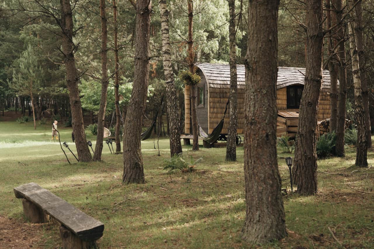 Домик с альпаками-77_resized
