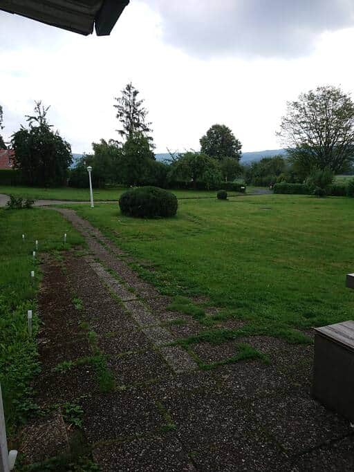 Vorgarten und Einfahrt