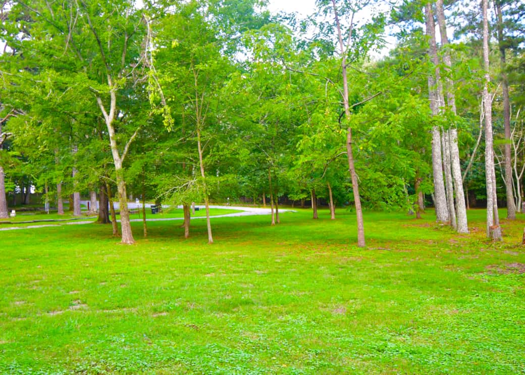Looking toward RV pad Looking toward RV pad