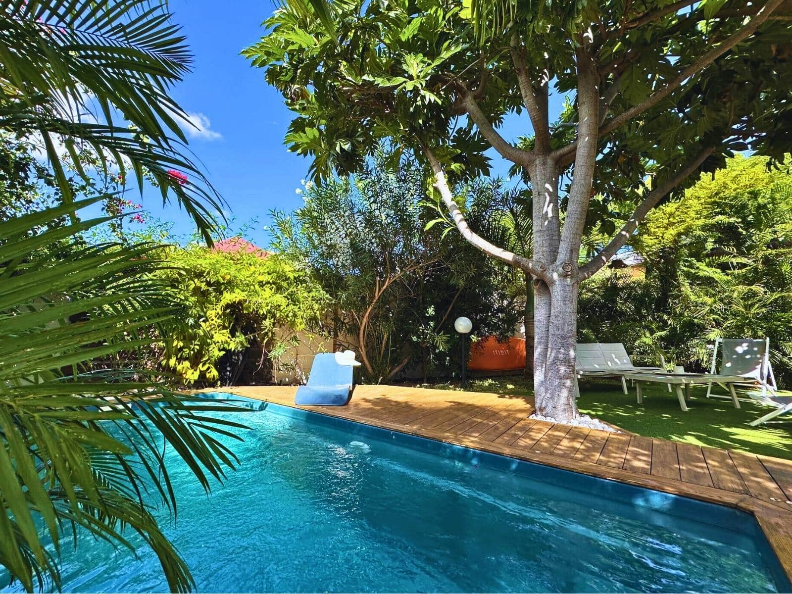 Piscine privée et jardin tropical de la villa bord de mer L'Arbre à Pain à Saint Gilles les Bains-Les Villas Emmanuel