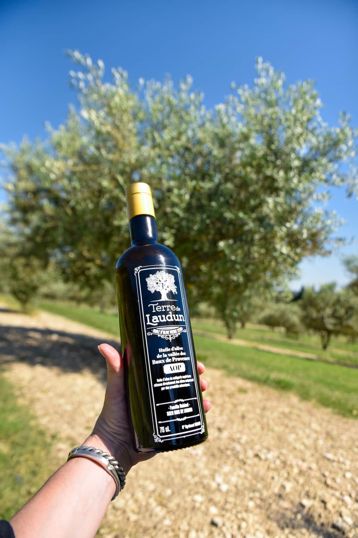 Aceite de oliva Terre de Laudun