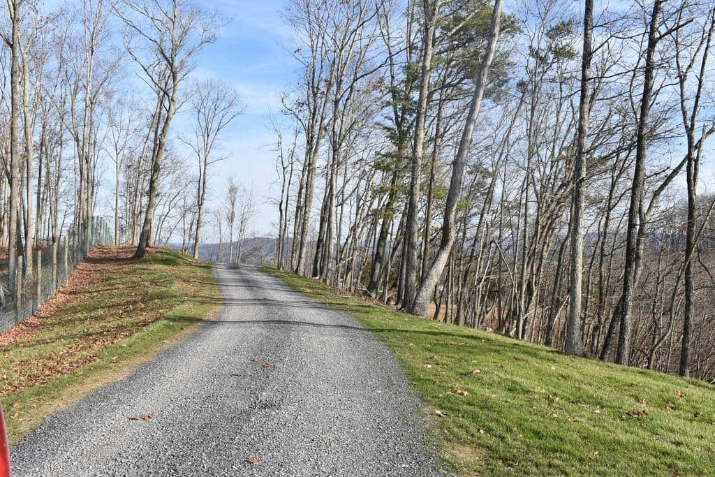 Red Bud at Grandview