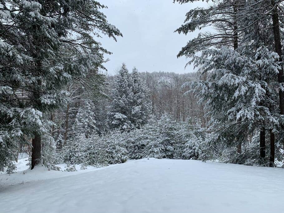 Our BACKYARD!!! What a view and an experience.