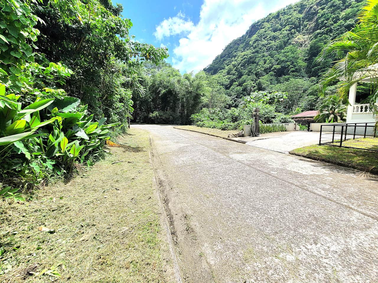 2 Scenic road view near Bamboo River in the lush Roseau Valley, Dominica.