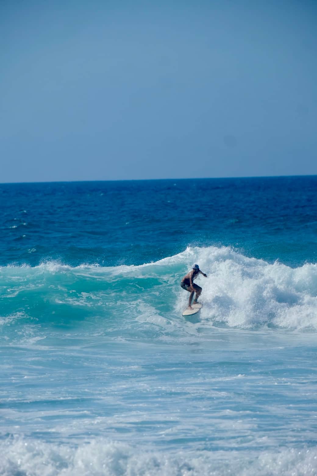 D S C F7359 D S C F7359