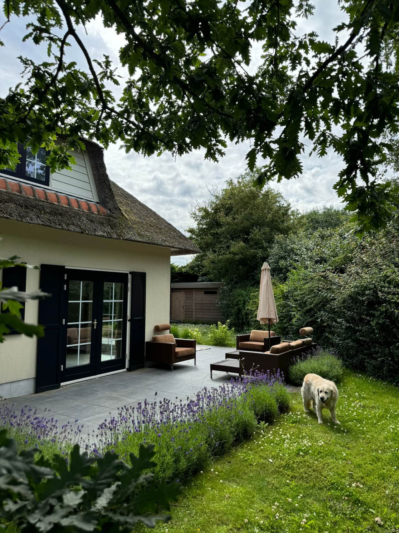 Kamperland Zeeland Terras Buiten Tuin