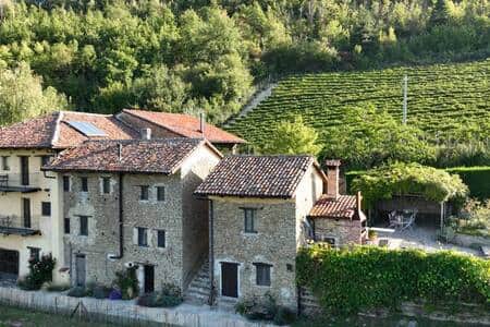 View of Villa San Lorenzo and Vineyard