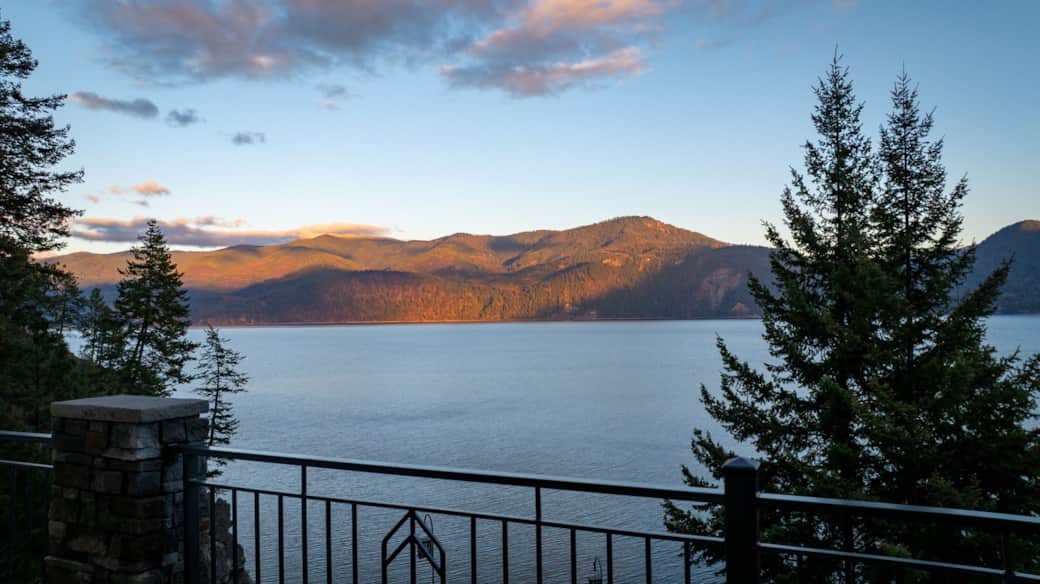 Direct view of majestic Green Monarchs