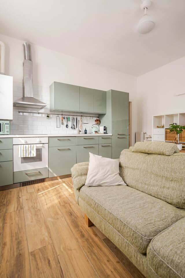 Il soggiorno è stato recentemente rinnovato con un divano letto nuovo da 1,40 m, più confortevole. Questa foto è stata mantenuta solo per mostrare lo spazio.