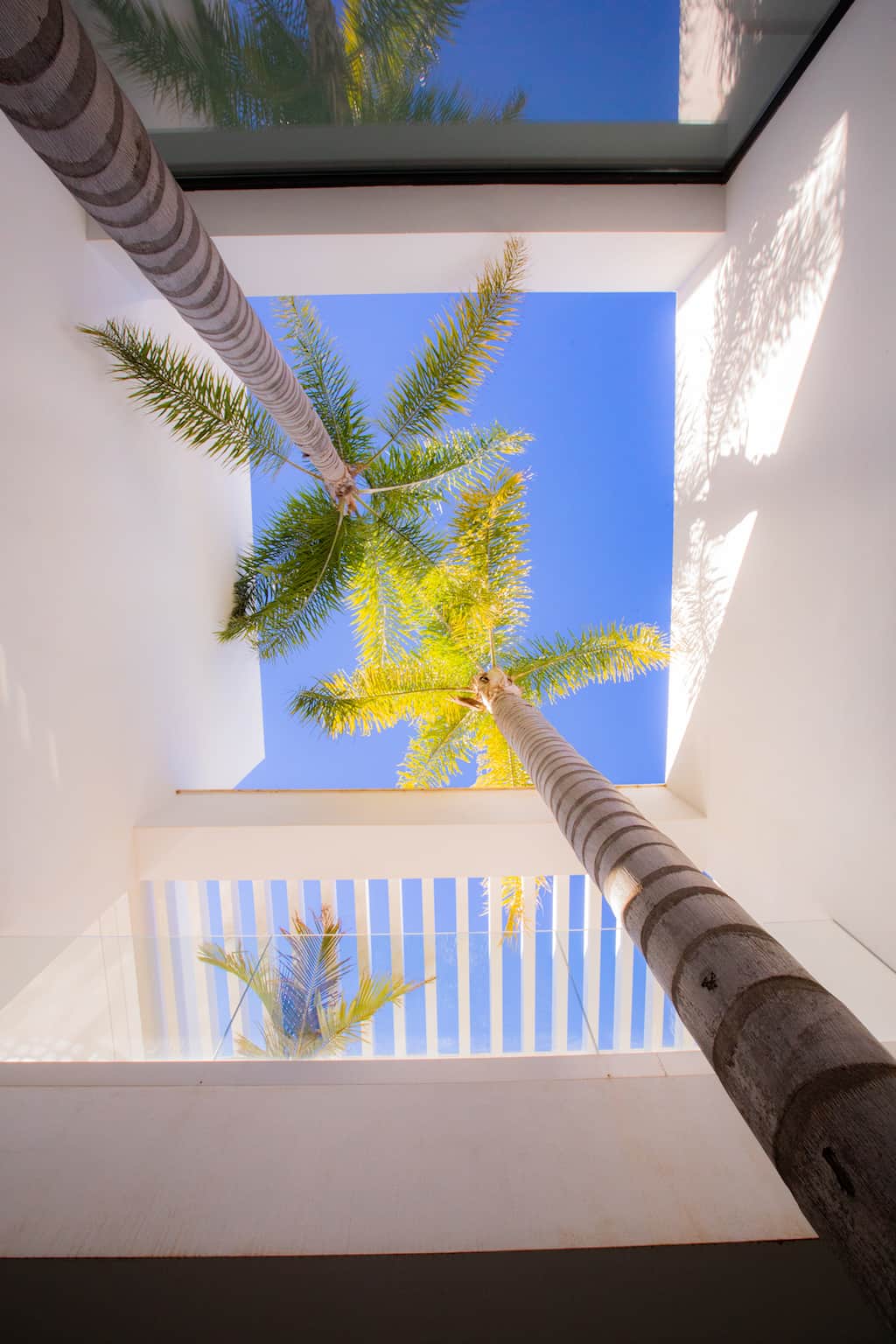Palm trees cover the three floors