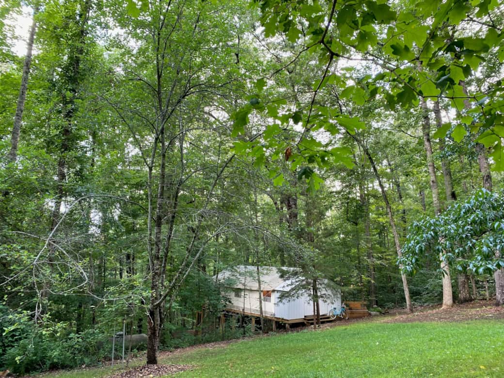 Glamping Tent- in the woods and so private Glamping Tent- in the woods and so private