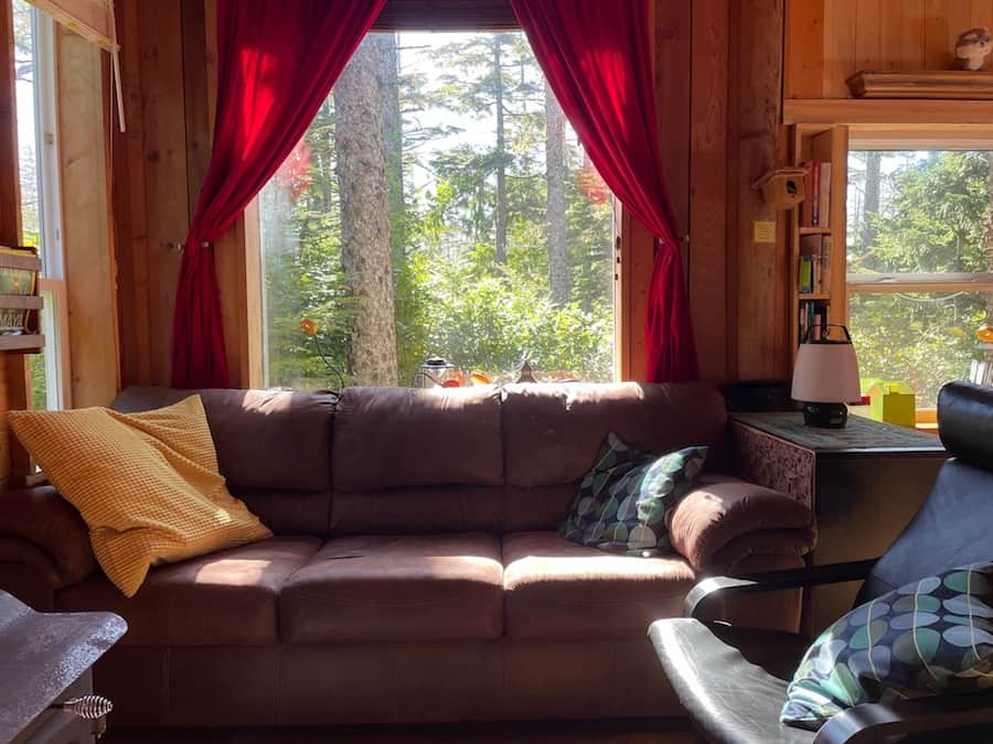 Frog couch