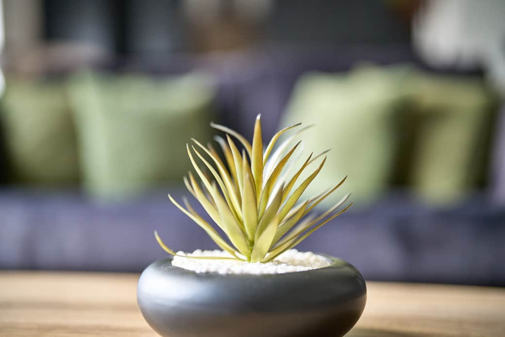 017 D S C07926 017 D S C07926