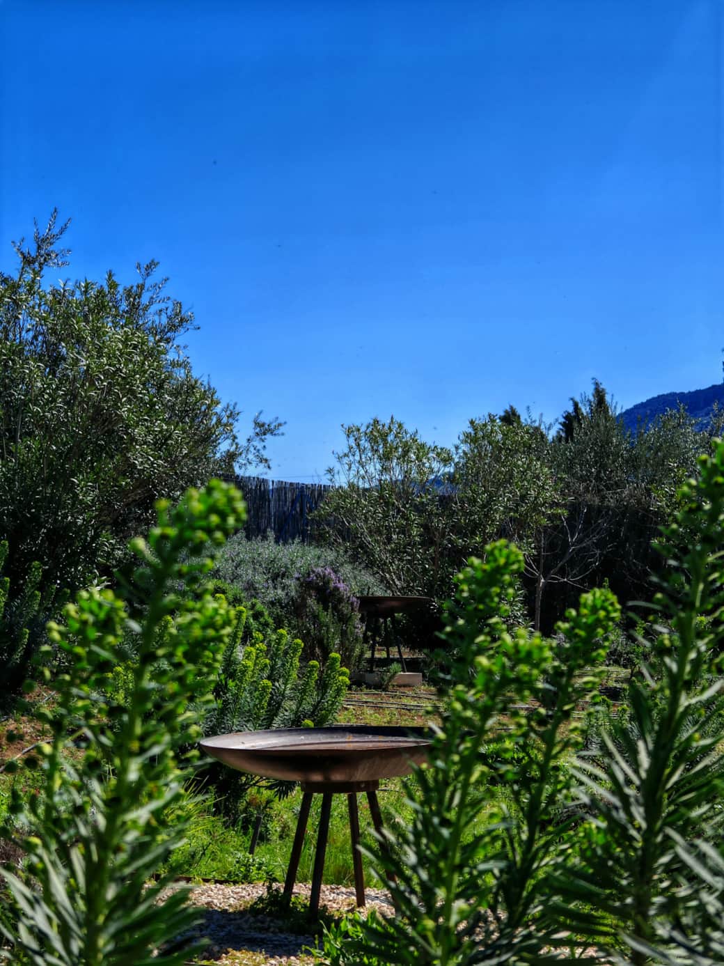 jardín 1
