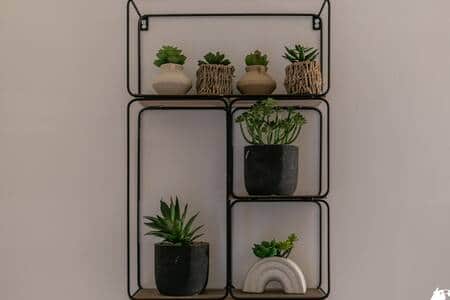 Détail de la décoration Détail de la décoration