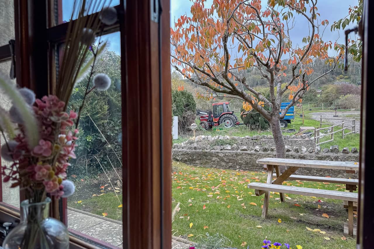 View out the living room window into the garden. stables over the road.