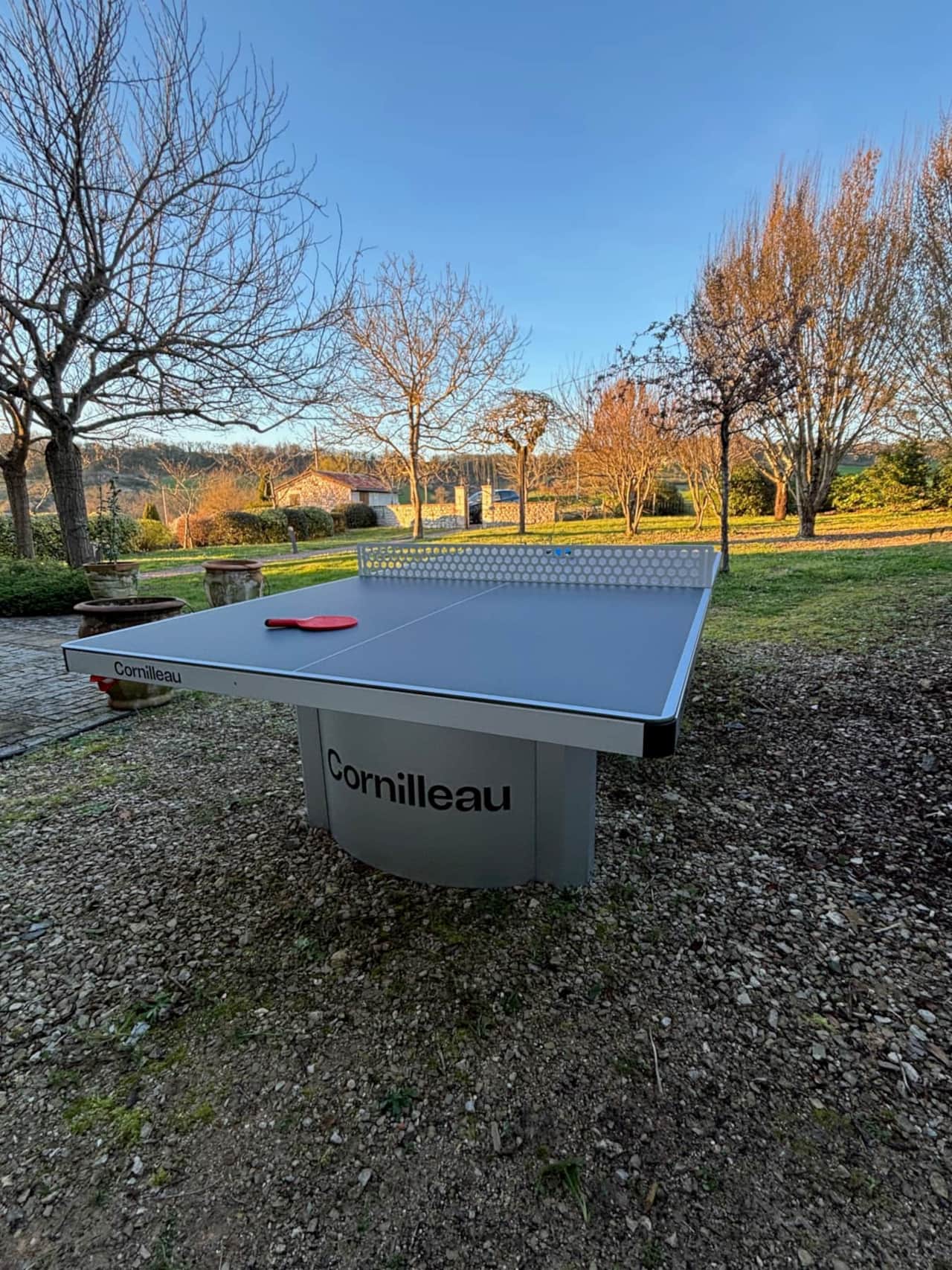 ping-pong