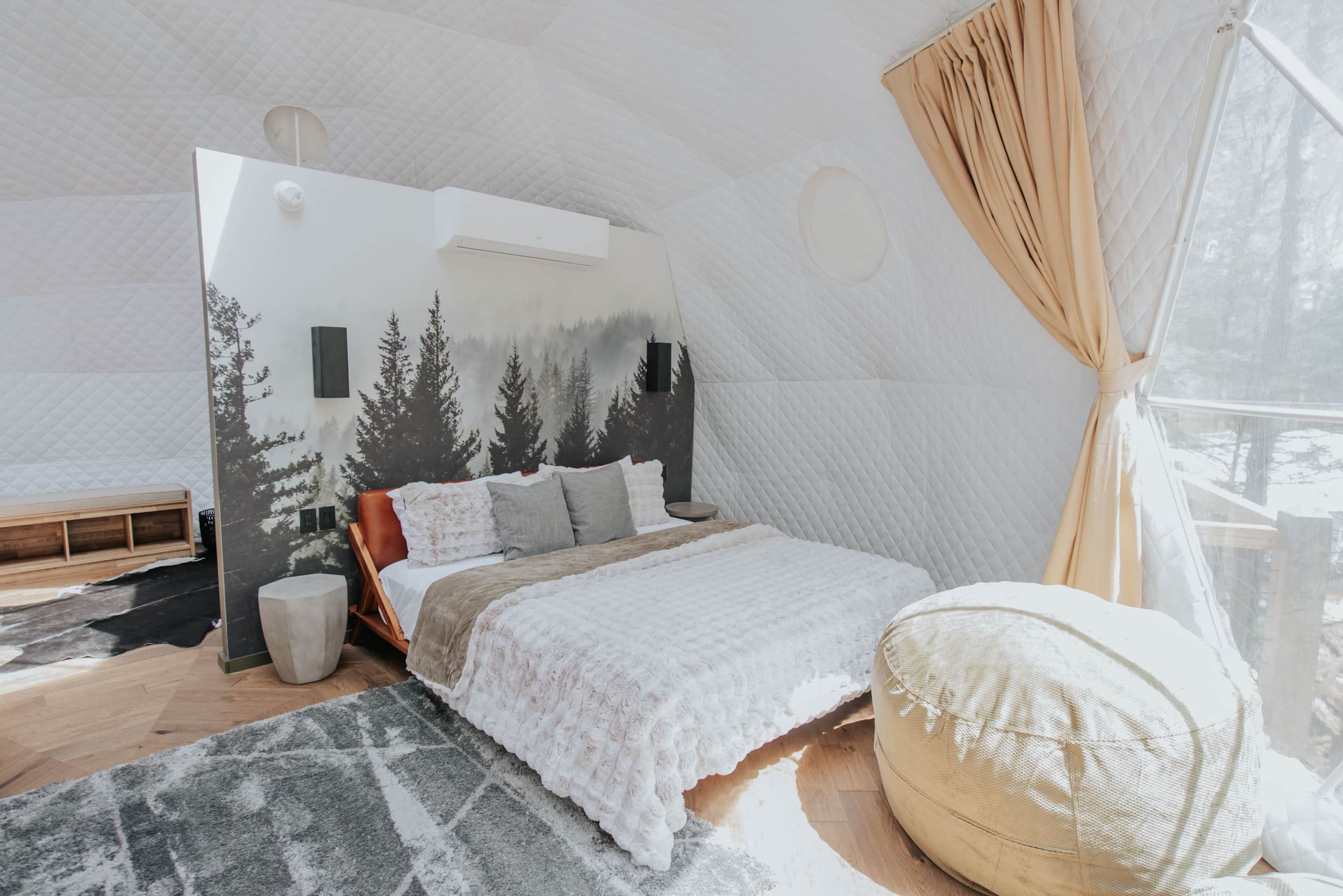 Dome 2 Brunson
