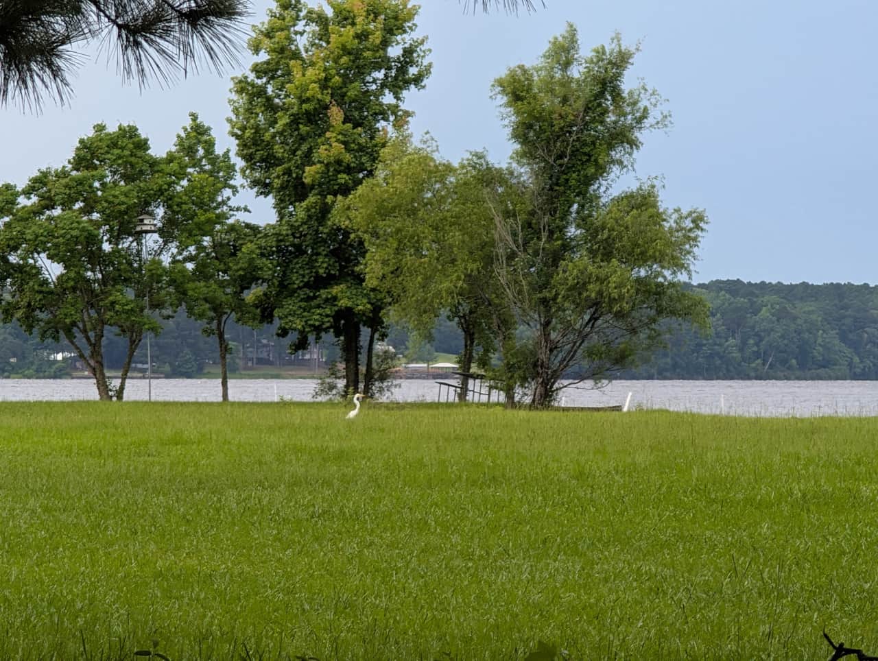 Fishing area 