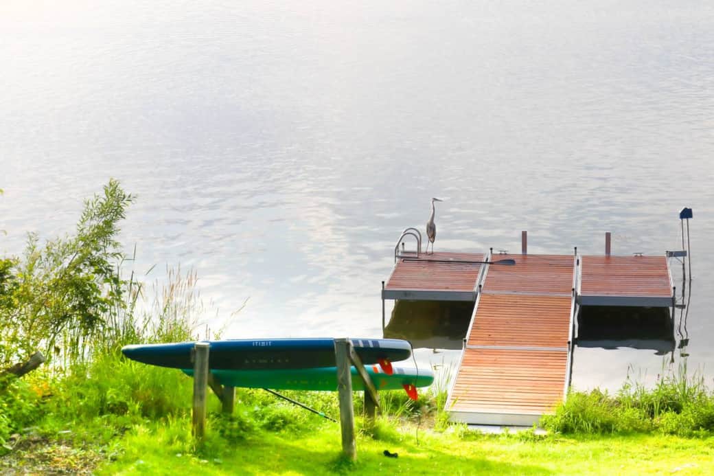 Dock with local Herron!
