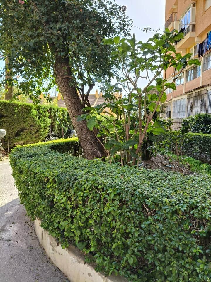 Precioso apartamento en Marbella — foto 18