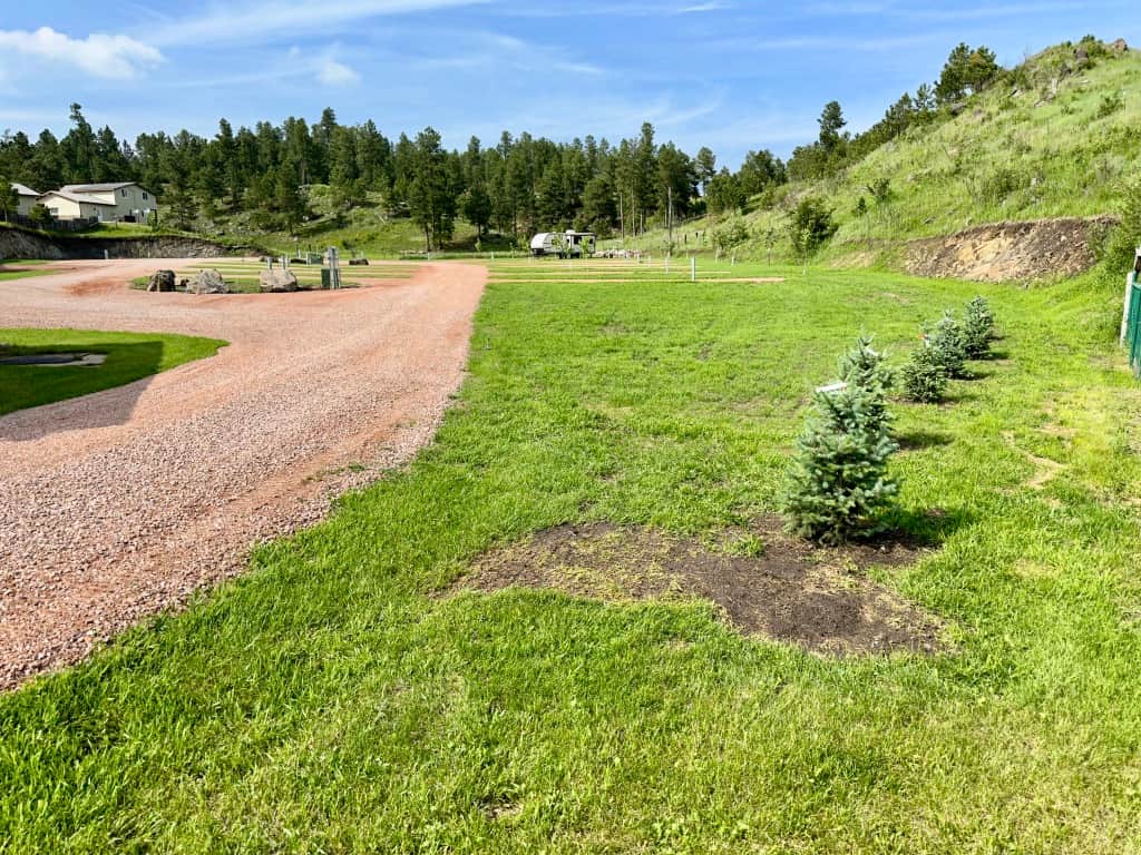 Green Space Green Space