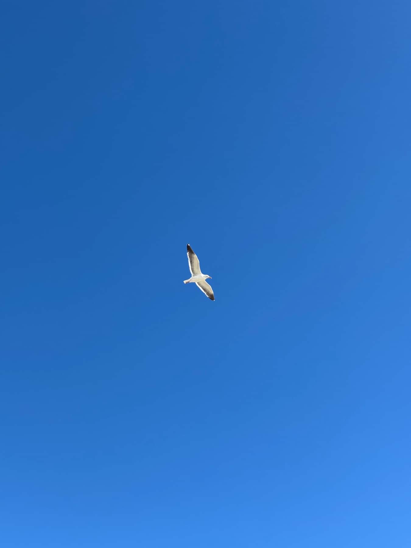 https://l.icdbcdn.com/oh/10527633-9f01-402d-bce0-cf24966cc4af.jpg?w=2080-3