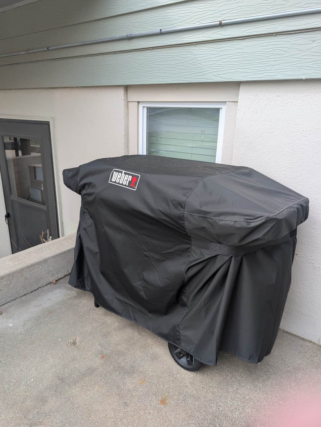 Weber Flat Gas Grill