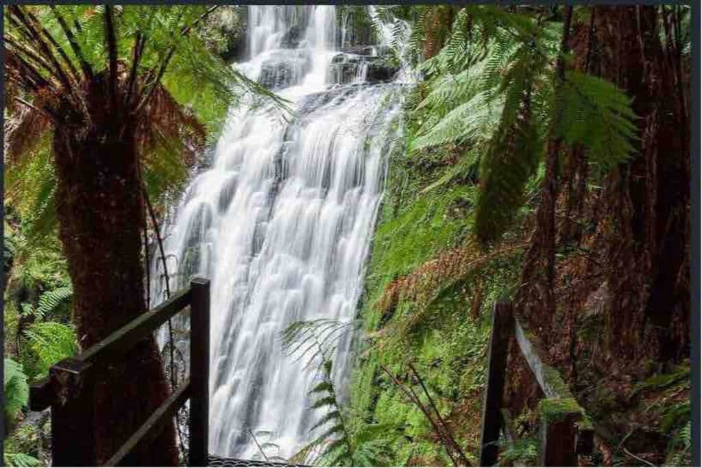 Discover private secluded waterfalls immersed in the ancient rainforest of The Source, Otways
