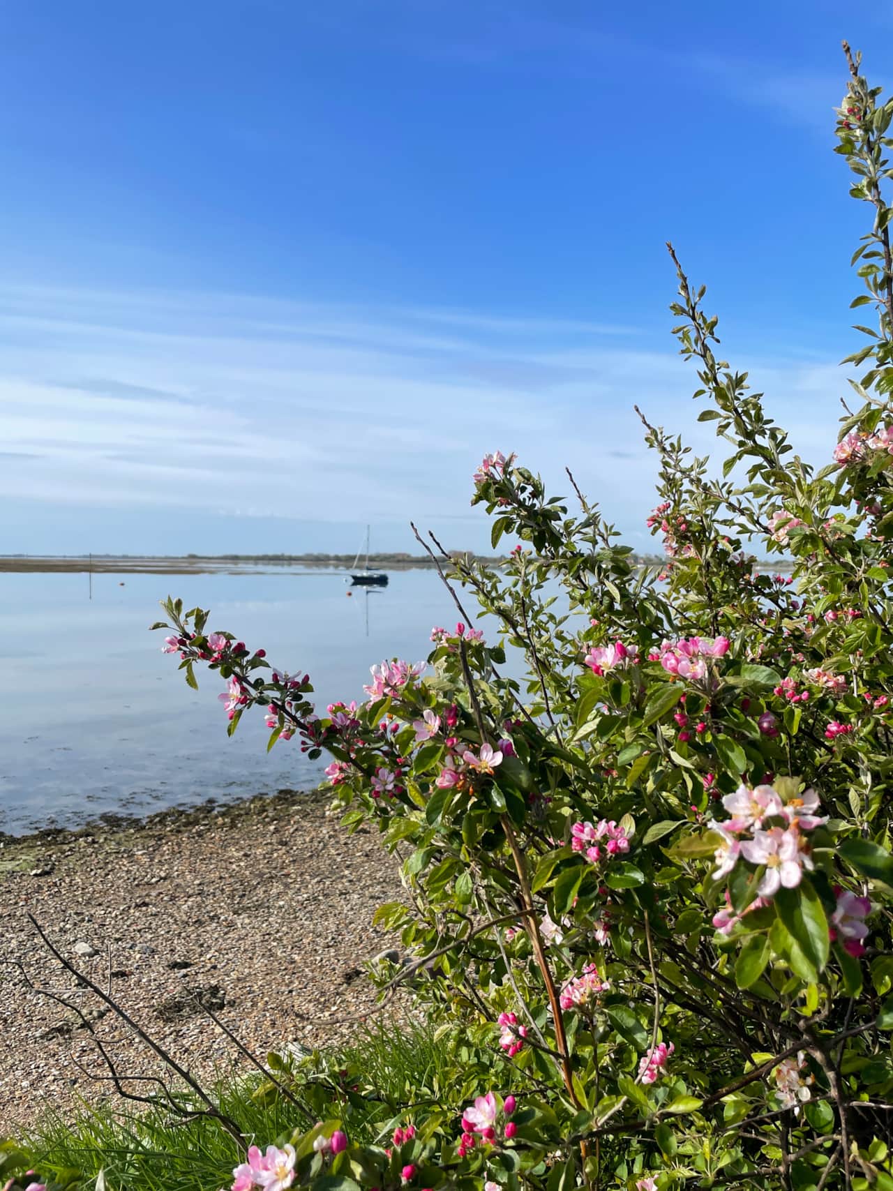 Emsworth Harbour