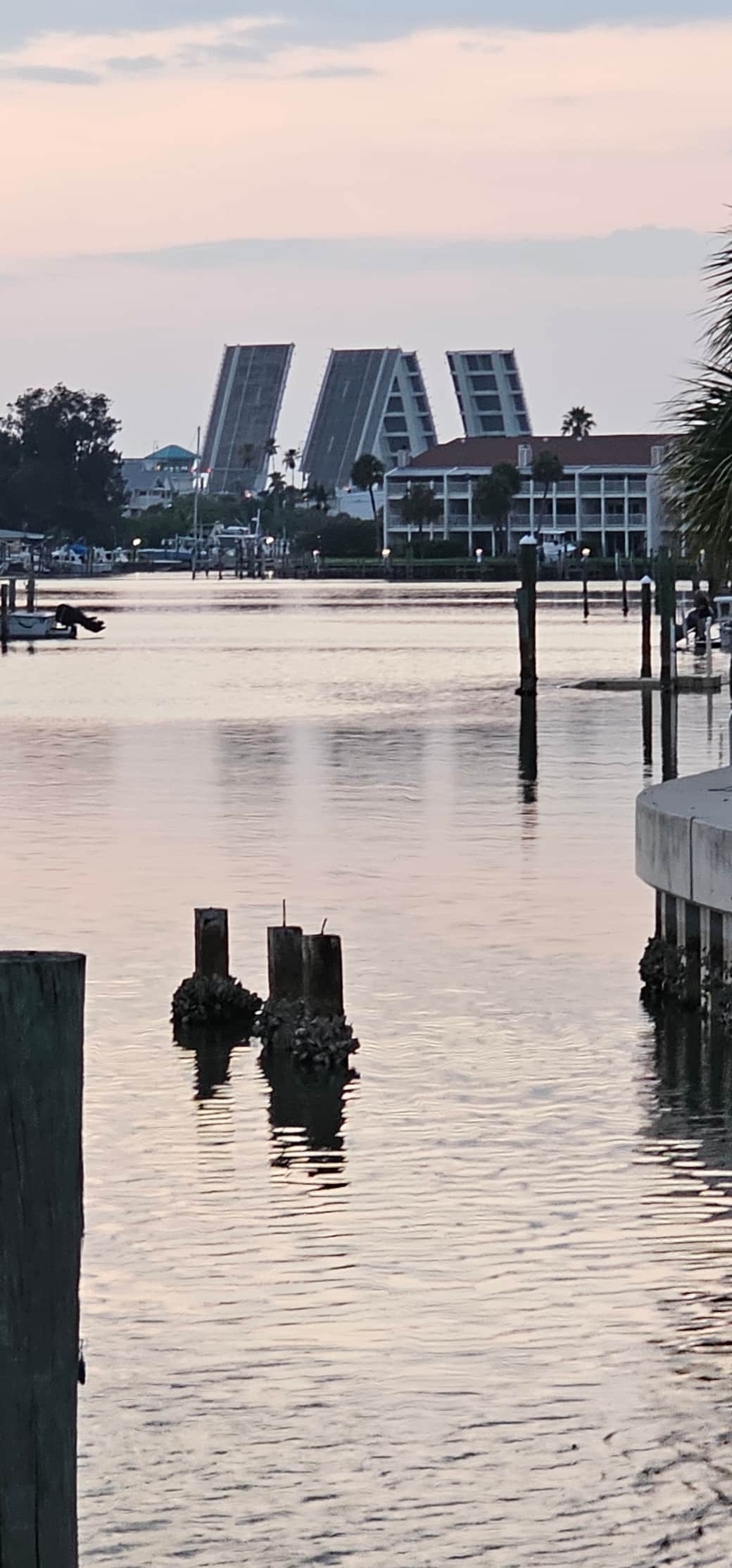 On a clear day you can spot the Treasure Island drawbridge rising in the distance from the pool deck
