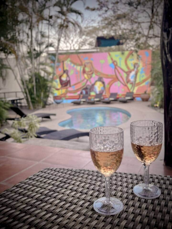 2025_LaCaminataDelMono (1) 2025_LaCaminataDelMono (1)