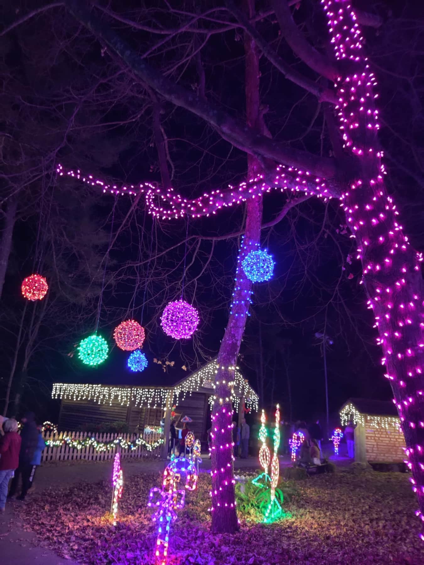 Christmas at the Falls