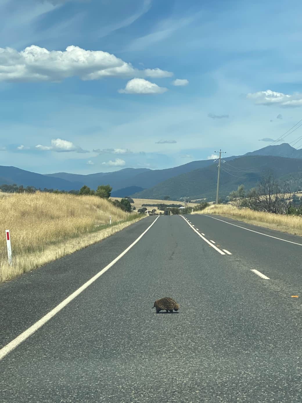 Buller road to Mansfield