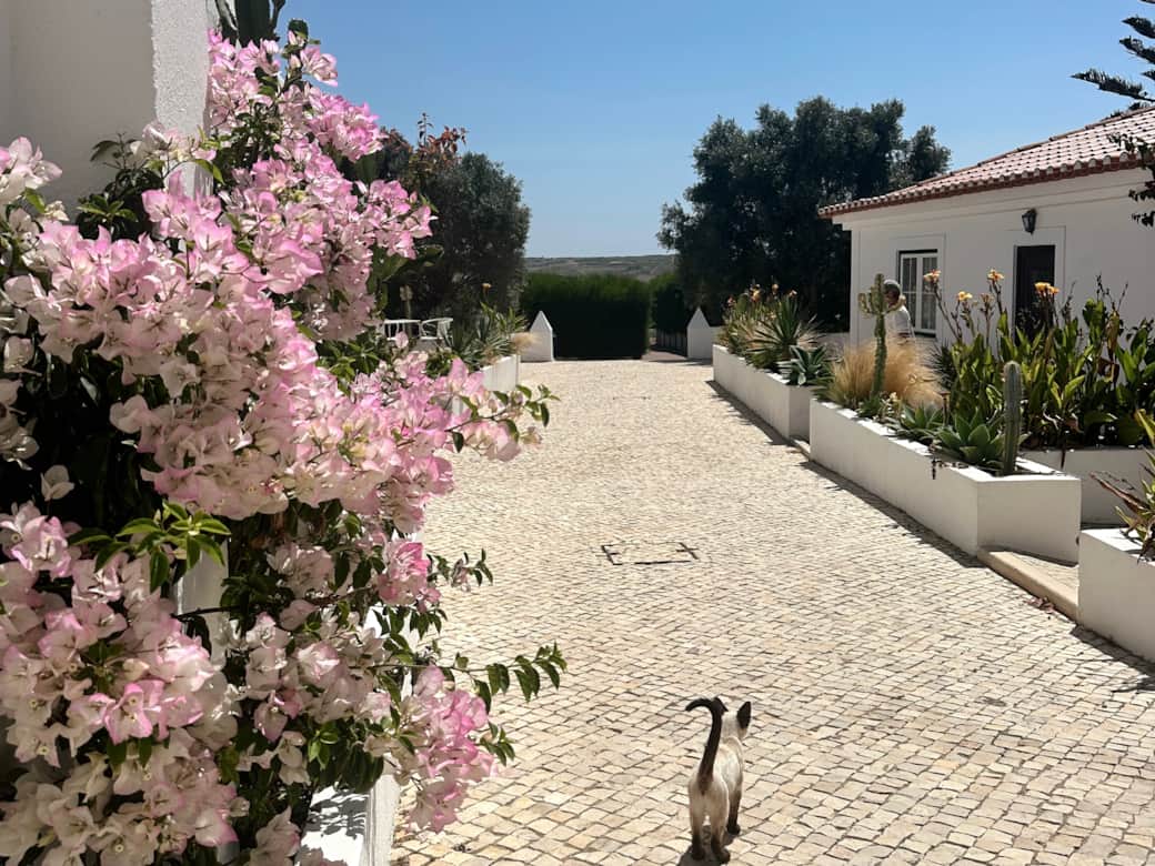 Blanco Bungalow Ericeira Portugal Seaside Farm