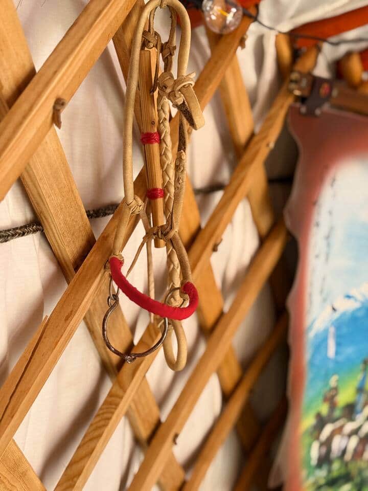 Authentic nomadic style decorations 