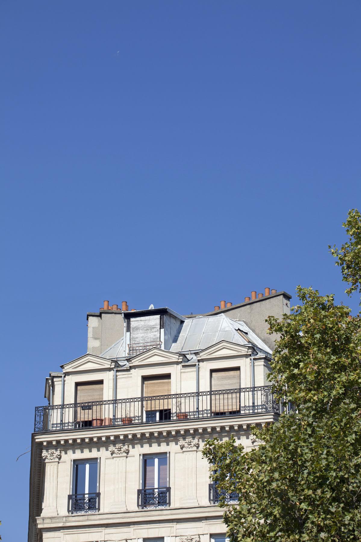 The roof