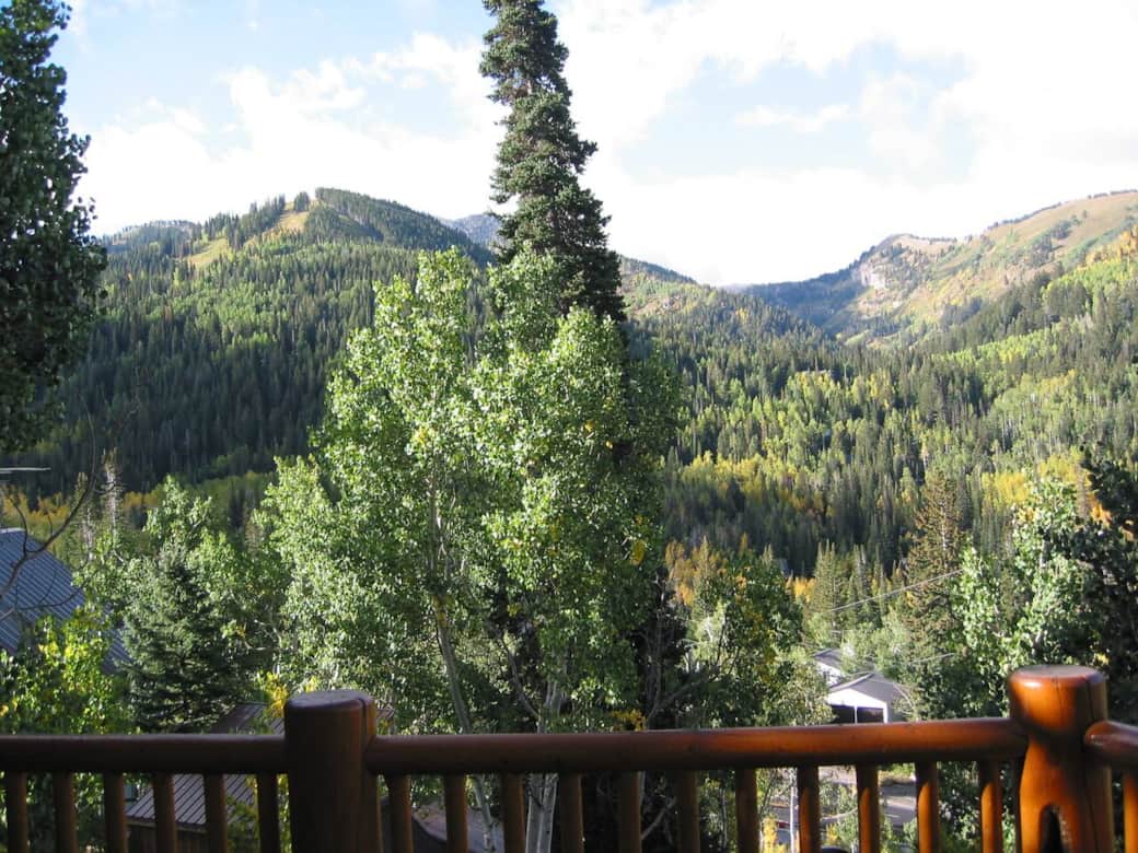 Summer view from the south facing deck Summer view from the south facing deck