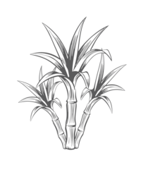 la galanterie